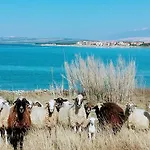 Ticic Apartman Povljana