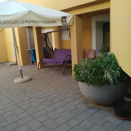 Ticic Povljana