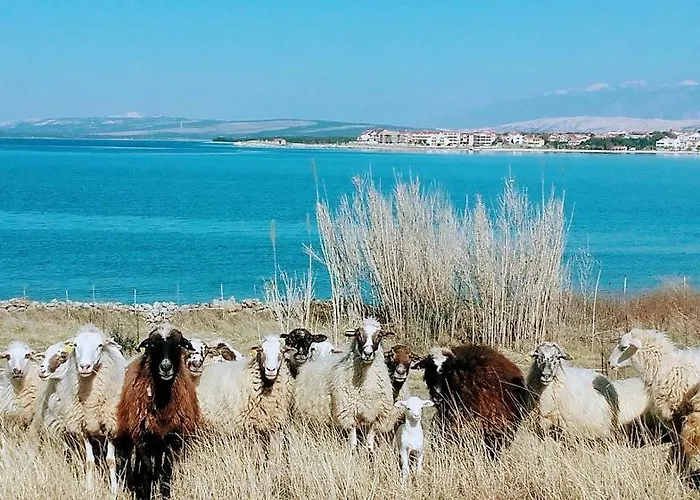 Ticic Apartamento Povljana